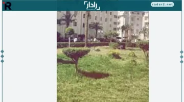 تحديث الرسوم.. تعرف على تكلفة الماجستير والدكتوراه في جامعة بني سويف بالتفصيل